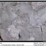 Quartz (diamond)
Carrara, Toscana, Italy
Fov 60 mm (Author: ploum)