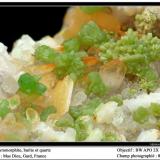 Pyromorphite on barite and quartz
Mas Dieu, Gard, France
fov 8 mm (Author: ploum)