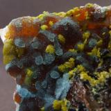 Plumbogummite, Mimetite, Quartz, Limonite and  Manganese Oxides
Dry Ghyll, Caldbeck Fells, Cumbria.
FOV approx  20 x 20 mm (Author: nurbo)