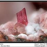 Erythrite
Bou Azer, Morocco
fov 3.5 mm (Author: ploum)