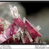 Erythrite with Quartz
Bou Azer, Morocco
fov 8 mm (Author: ploum)