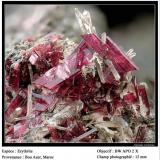 Erythrite with Quartz
Bou Azer, Morocco
FOV 12 mm (Author: ploum)