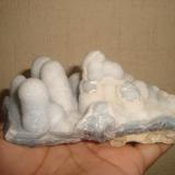 Quartz and Chalcedony
Rosales, Chihuahua, Mexico.
12 cms (Author: javmex2)