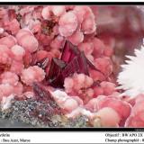 Erythrite
Bou Azer, Morocco
fov 8 mm (Author: ploum)