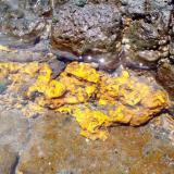 limonita sobre basalto<br />Playa de La Caleta, Agaete, Gran Canaria, Provincia de Las Palmas, Canarias, España<br />Ancho de imagen 35 cm<br /> (Autor: María Jesús M.)