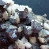 Galena, DolomitaReocín Mine, Reocín, Comarca Saja-Nansa, Cantabria, Spain5 x 3 cm. (Autor: javier ruiz martin)
