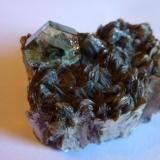 Apatito, Moscovita
Panasqueira, Beira Baixa, Portugal
5 x 4 x 3 cm. El Apatito 0.5 cm. (Autor: javier ruiz martin)