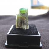 Tourmaline
Pakistan
16x8x9 mm (Author: barbie90)