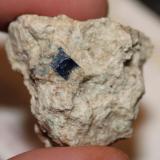 Boleite in Matrix
Amelia mine, Santa Rosalia, Mexico
4 mm crystal; overall specimen 2.8 cm (Author: Chris Wentzell)