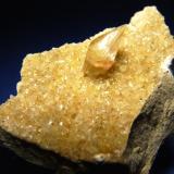 CalcitaPedrera Cal Ros (Pedrera Ballús), Cercs, Comarca Berguedà, Barcelona, Cataluña / Catalunya, EspañaPieza 60 x 50 mm. cristal 20 mm. (Autor: Jesus Franquesa Baucells)