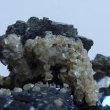 Esfalerita, Arsenopirita y MicaMinas da Panasqueira, Aldeia de São Francisco de Assis, Covilhã, Castelo Branco, Cova da Beira, Centro, Portugal7 x 7 cm (Autor: javier ruiz martin)