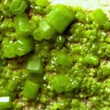 Pyromorphite
Tanzfleck, Freihung, Bavaria, Germany
Field of view 35 mm (Author: Tobi)