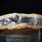 Celestina<br />Lagunas de Rabasa, Alicante/Alacant, Comarca Campo de Alicante, Alicante / Alacant, Comunidad Valenciana / Comunitat Valenciana, España<br />7,5 x 2,5 cm<br /> (Autor: Pedro Antonio)