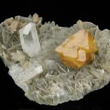 Scheelite and Quartz
Mt. Xuebaoding, Pingwu County,  Mianyang Prefecture, Sichuan Province, China

62 x 58 x 48 mm

This well-balanced specimen hosts a lustrous, translucent yellowish-orange Scheelite crystal to 22 mm perched on a Muscovite matrix, and accompanied by a water-clear Quartz measuring 25 x 10 x 9 mm.  Several other clear Quartz crystals and several light-cream-colored, translucent feldspar crystals to 7 mm provide additional interest.  The edge of the Scheelite has several transparent Fluorite cubes intergrown along it.  Only one very tiny chip is present on the Quartz termination. (Author: GneissWare)