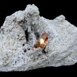 Topaz
Thomas Range, Juab Co., Utah, USA
Specimen width: 80 mm
Crystal size: 13 mm (Author: Tobi)