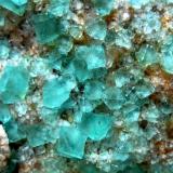 Fluorite
Berta Quarry (Berta Mine), Sant Cugat del Vallès-El Papiol, Vallès Occidental, Barcelona, Catalonia, Spain
Field of view 35 mm, largest crystals 4 mm (Author: Tobi)