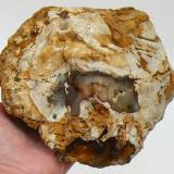 Agate
Biggs/Owyhee area, Oregon, USA
8"x6"x3.25"  5.7lb. (Author: paulybrina)