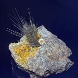 Millerite with Calcite
Keokuk Co., Iowa, USA
5 x 4 x 3.8 cm (Author: am mizunaka)