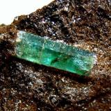 Emerald
Habach Valley, Salzburg, Austria
Crystal 1,3 cm (Author: Tobi)