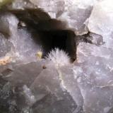 AragonitoSan Fiz do Seo Quarry, Afeitada, San Fiz do Seo, Trabadelo, Comarca El Bierzo, León, Castile and León, SpainCristal de 1 cm. (Autor: Calita)