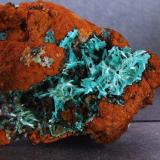 Aurichalcite
Ojuela mine, mun de Mapimi, Durango, Mexico.
FOV 40 x 40 mm approx (Author: nurbo)