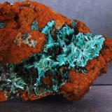 Aurichalcite
Ojuela mine, mun de Mapimi, Durango, Mexico.
FOV 40 x 40 mm approx (Author: nurbo)