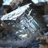 Arsenopirita
Panasqueira, Portugal
8 x 6 cm.

Detalle (Autor: javier ruiz martin)