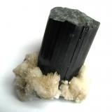 Schorl on white ???
Shengus (Shingus), Haramosh Mts., Skardu District, Baltistan, Gilgit-Baltistan (Northern Areas), Pakistan
Specimen height 5 cm, crystal measures 4,5 x 2,5 cm (Author: Tobi)