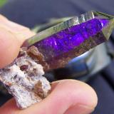 Quartz Var. Amethyst
Brandberg, Namibia
39 x 10 x 10 mm
The same as above with white light from behind. (Author: Pierre Joubert)