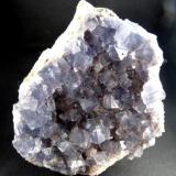 FluoritaMatagalls Mine (Sant Marçal Mines), Sant Marçal, Viladrau, Comarca Osona, Gerona / Girona, Catalonia / Catalunya, Spain85 x 75 mm. (Autor: Jesus Franquesa Baucells)