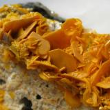 Wulfenite
Stefanie Mine, Bad Bleiberg, Carinthia, Austria
Field of view 3 cm (Author: Tobi)