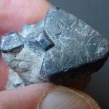 GalenaBakio Quarry, El Calero, Bakio, Comarca Uribe, Vizcaya / Bizkaia, Basque Country (Euskadi), Spain3,5 x 2 cm (Autor: javier ruiz martin)