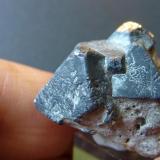 GalenaBakio Quarry, El Calero, Bakio, Comarca Uribe, Vizcaya / Bizkaia, Basque Country (Euskadi), Spain3,5 x 2 cm (Autor: javier ruiz martin)