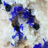 Azurita
El Pinar de Bédar, Bédar, Almería, Andalucía, España
ancho de imagen 2 mm. (Autor: josminer)