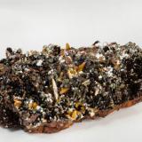 Wulfenita con Mimetita
Mina Ojuela, Mapimí, Durango, México
11x8 cm (Autor: victor chaul chamut)