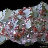 Fluorita con pequeños cristales de cuarzo hematoide.
Sant Marçal, Montseny, Viladrau, Osona, Girona, Catalunya, España
7 x 4 cms. (Autor: Jordi Lluis Pi)