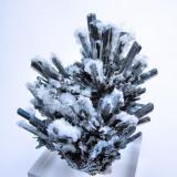 Stibnite, barite
Baia Sprie (Felsöbánya), Maramures, Romania
84 mm x 73 mm (Author: Carles Millan)