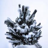 Stibnite, barite
Baia Sprie (Felsöbánya), Maramures, Romania
84 mm x 73 mm (Author: Carles Millan)