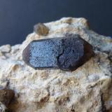 Cuarzo (variedad ahumado)Afloramiento de cuarzos, Las Trenzas (La Jabalina), Cehegín, Comarca Noroeste, Región de Murcia (Murcia), España1,5 x 0,5 cm. (Autor: javier ruiz martin)