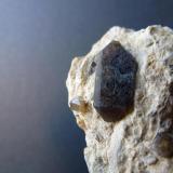 Cuarzo (variedad ahumado)Afloramiento de cuarzos, Las Trenzas (La Jabalina), Cehegín, Comarca Noroeste, Región de Murcia (Murcia), España1,5 x 0,5 cm. (Autor: javier ruiz martin)