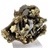 Chalcopyrite, siderite
Kaiwu Mine, Hezhang, Bijie, Guizhou, China
95 mm x 78 mm (Author: Carles Millan)