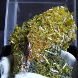 Pyromorphite
Blackwoods O/C, Broken Hill, NSW, Australia
40 x 30 mm (Author: nurbo)