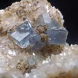 Fluorita azul
Mines de Sant Marçal - Montseny - Viladrau - Osona - Girona - Catalunya - España
65 x 45 x 30 mm
Cristal mayor 4 mm
Detalle (Autor: Joan Martinez Bruguera)