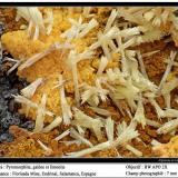 PiromorfitaFlorisa Mine, Peña de la Sal, Casas de Monleón, Endrinal, Comarca Entresierras, Salamanca, Castile and León, Spain7 mm. ancho de campo (Autor: canada)