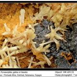 PiromorfitaFlorisa Mine, Peña de la Sal, Casas de Monleón, Endrinal, Comarca Entresierras, Salamanca, Castile and León, Spain7 mm. ancho de campo (Autor: canada)