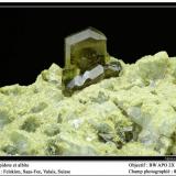 Epidote
Felskinn, Fee Glacier, Saas Fee, Zermatt, Wallis, Switzerland
fov 8 mm (Author: ploum)