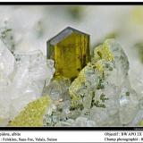 Epidote
Felskinn, Fee Glacier, Saas Fee, Zermatt, Wallis, Switzerland
fov 8 mm (Author: ploum)