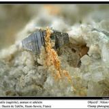 Anatase et rutile
Talèfre glacier, Mont Blanc, Chamonix, Haute-Savoie, Rhône-Alpes, France
fov 3,5 mm (Author: ploum)