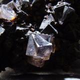 Fluorite with Goethite
Sedling Vein, Sedling Mine, Cowshill, Weardale, Co Durham, England, UK.
FOV 25 x 20 mm Approx (Author: nurbo)