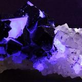 Fluorite on Quartz with Marcasite,
Frasers Hush Mine,Rookhope, Weardale, Co Durham, England, UK.
50 x 30 mm (Author: nurbo)